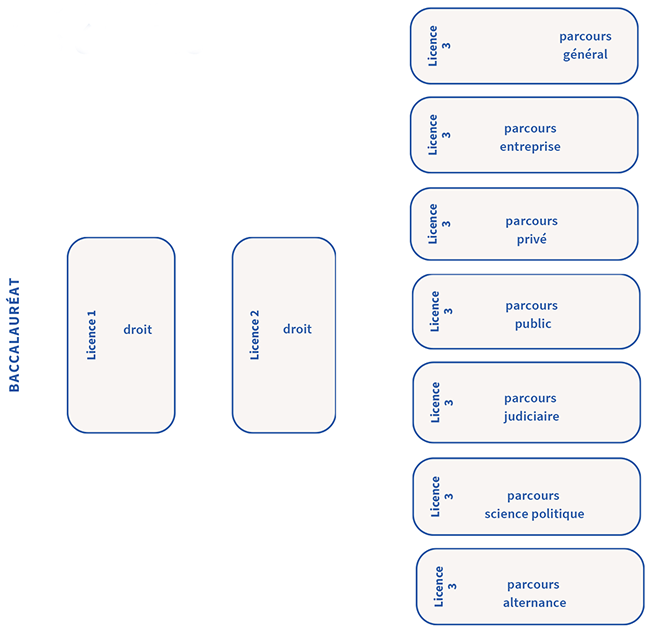 Parcours - Licence Droit