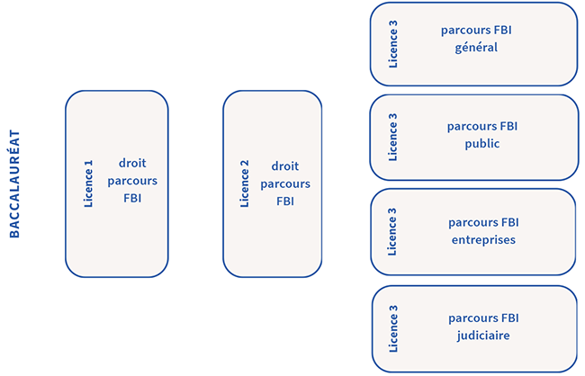 Parcours - Licence Droit FBI