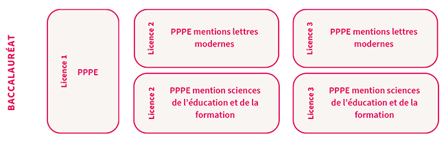 Parcours - Licence PPPE