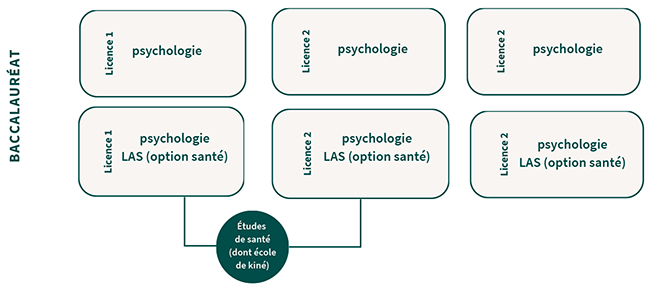 Licence - Psychologie