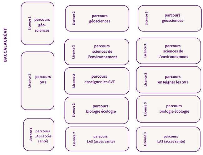 Licence - Sciences de la Vie et de la Terre - Du lycée à l'université