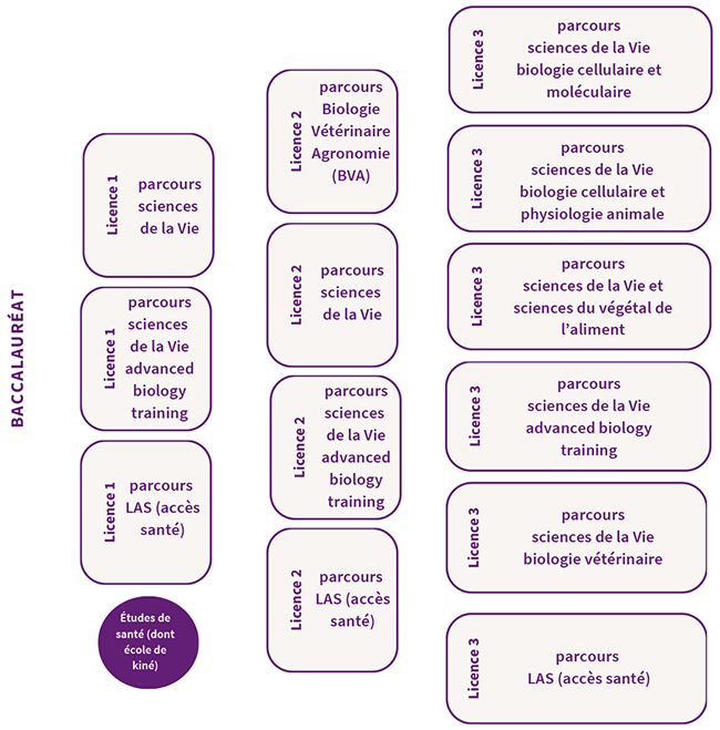 Parcours - Licence Sciences de la vie